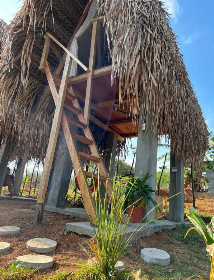 Hôtel Sasy Tipis à Santa Catalina Extérieur photo